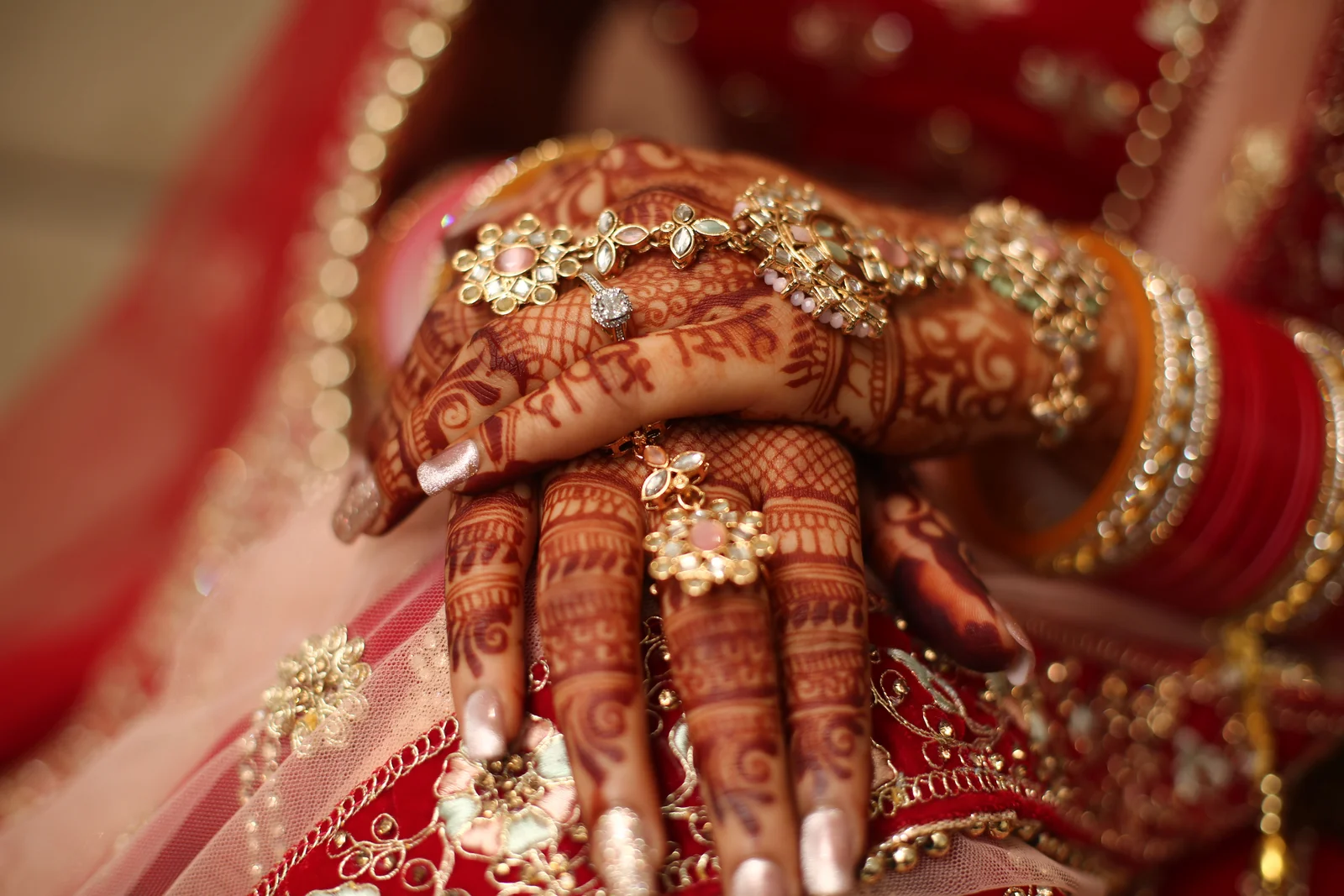 Vaishali & Deepender Photo 10